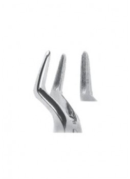 Extracting Forceps
